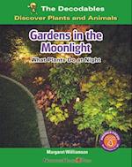 Gardens in the Moonlight