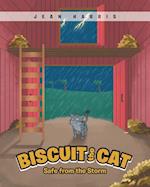 Biscuit the Cat