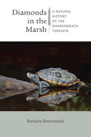 Diamonds in the Marsh - A Natural History of the Diamondback Terrapin
