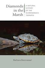 Diamonds in the Marsh - A Natural History of the Diamondback Terrapin