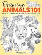 Drawing Animals 101