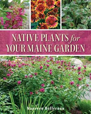 Native Plants for Your Maine Garden