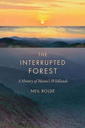 The Interrupted Forest