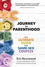 Journey to Same-Sex Parenthood