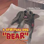 A Spiritual Dog "Bear" 