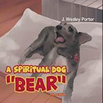 Spiritual Dog 'Bear'