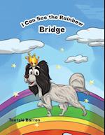 I Can See The Rainbow Bridge 