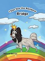 I Can See The Rainbow Bridge 