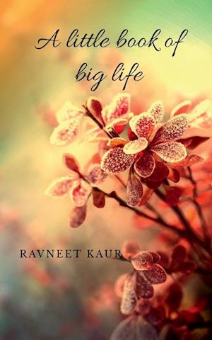 A little book of big life