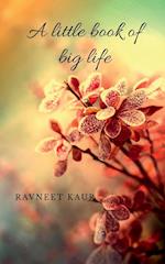 A little book of big life 