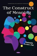 Construct of Meaning