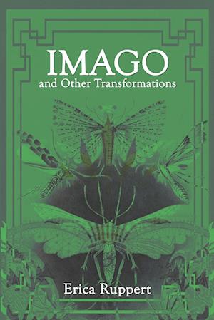 Imago and Other Transformations