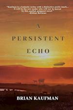 A Persistent Echo 