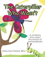 The Caterpillar Who Wasn't