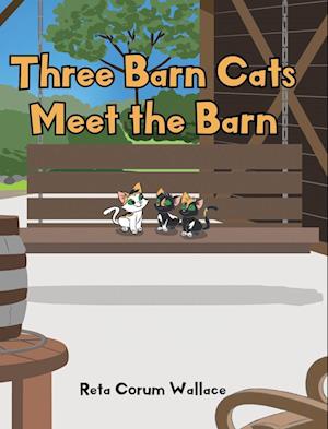 Three Barn Cats Meet the Barn