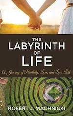 The Labyrinth of Life