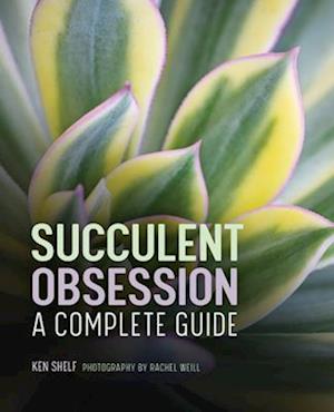 Succulent Obsession