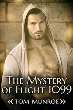 Mystery of Flight 1099