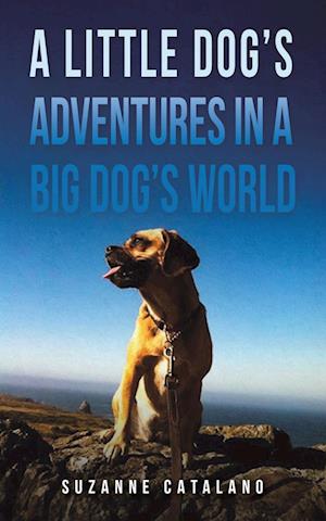 A Little Dog's Adventures in a Big Dog's World