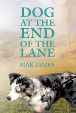 Dog at the End of the Lane 