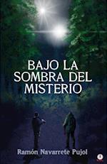 Bajo la sombra del misterio