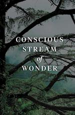 Conscious Stream of Wonder 