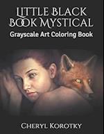 Little Black Book Mystical: Grayscale Art Coloring Book 