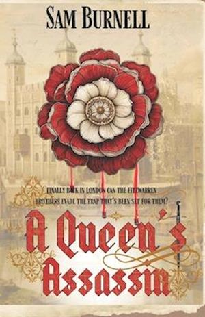 A Queen's Assassin: A Medieval Historical Fiction Novel - Mercenary For Hire Book 5