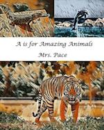 A is for Amazing Animals