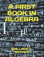 A First Book in Algebra