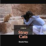 Stray cats