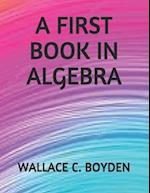 A First Book in Algebra