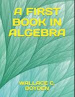 A First Book in Algebra