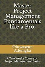 Master Project Management Fundamentals like a Pro.