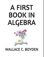 A First Book in Algebra