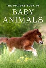 The Picture Book of Baby Animals: A Gift Book for Alzheimer's Patients and Seniors with Dementia 