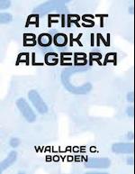 A First Book in Algebra