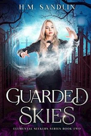 Guarded Skies