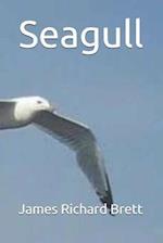 Seagull