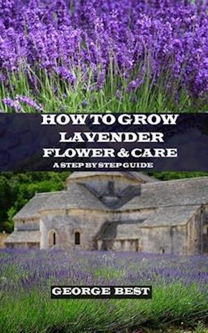 How to Grow Lavender Flower and Care