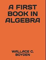 A First Book in Algebra