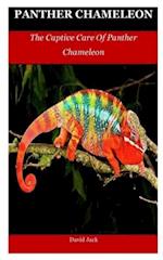 Panther Chameleon