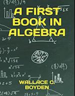 A First Book in Algebra