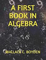 A First Book in Algebra