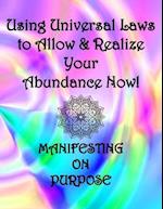 Using Universal Laws to Allow & Realize Your Abundance Now! Manifesting on Purpose