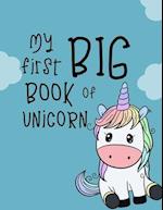 My first big book of Unicorn