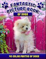 Fantastic Picture Book of Dogs. 40 Color Photos of Dogs