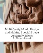 Multi Cavity Mould Design and Making Special Shape Assembly Bricks