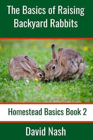 The Basics of Raising Backyard Rabbits