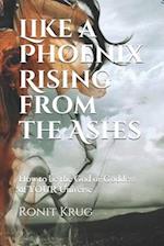 Like a Phoenix Rising (from the Ashes)